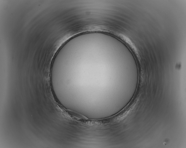 X0000095111089200712301730