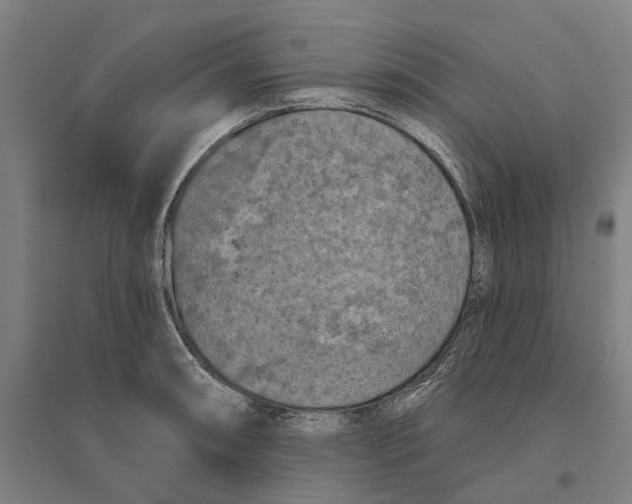 X0000095111090200712301730