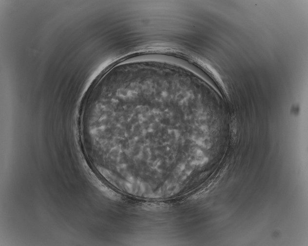 X0000095111091200712301730