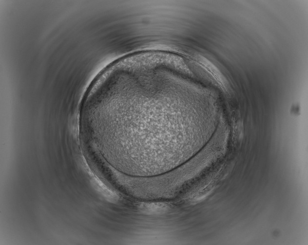 X0000095111092200712301730