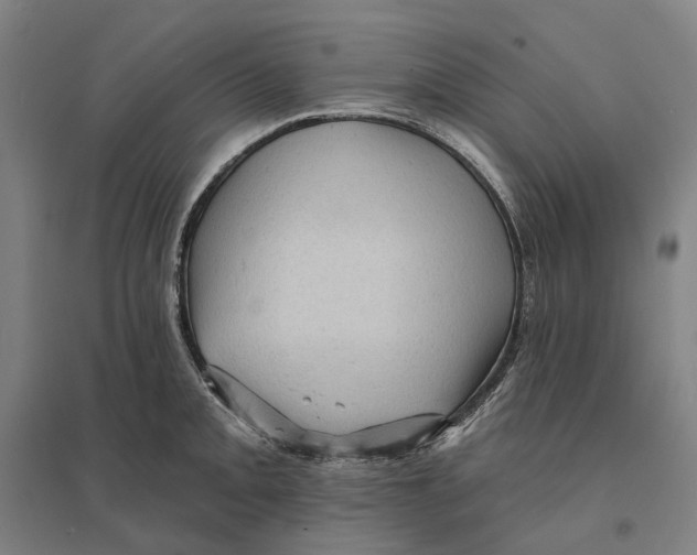 X0000095111093200712301730