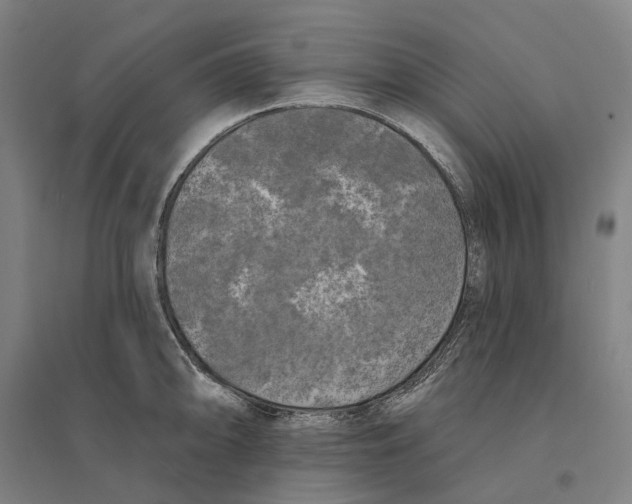 X0000095111094200712301730