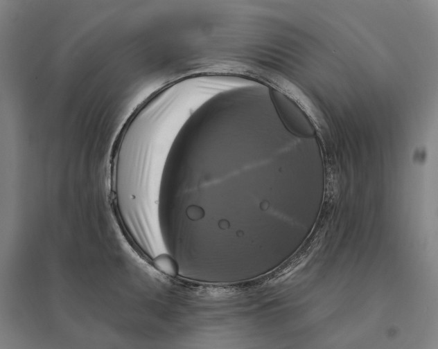 X0000095111095200712301730