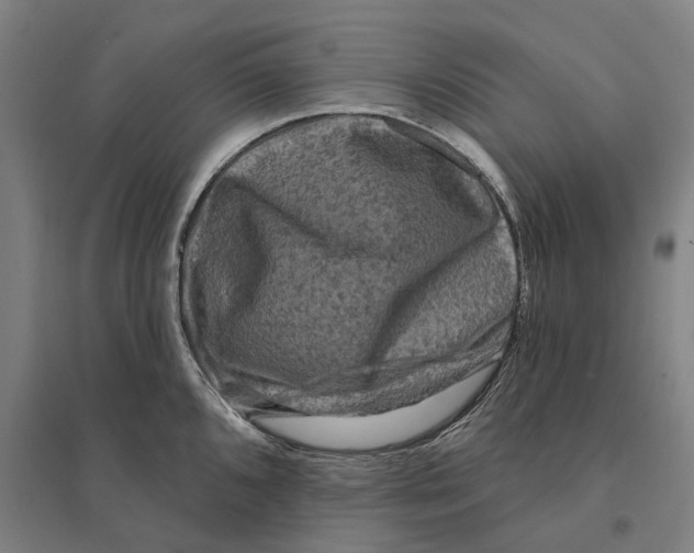 X0000095111096200712301730