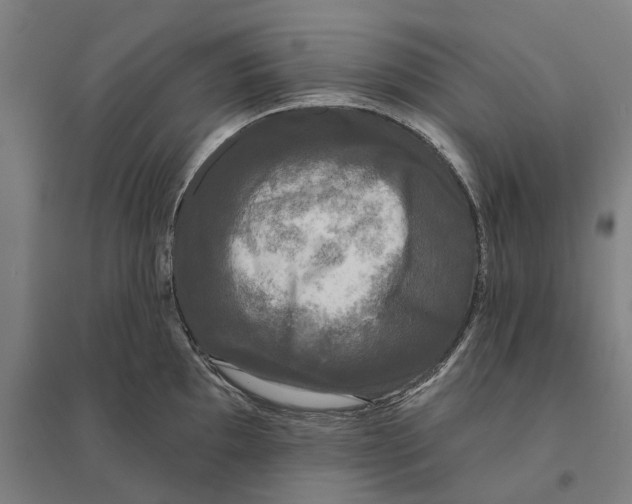 X0000095111097200712301730