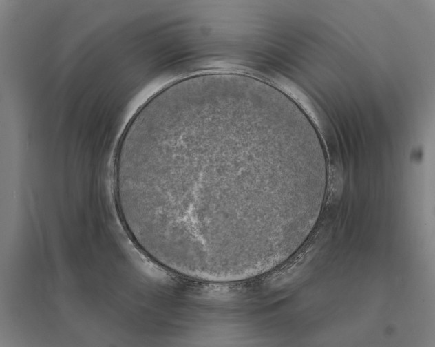 X0000095111098200712301730