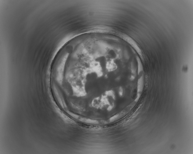 X0000095111099200712301730