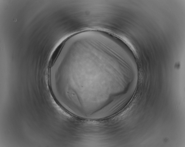 X0000095111100200712301730