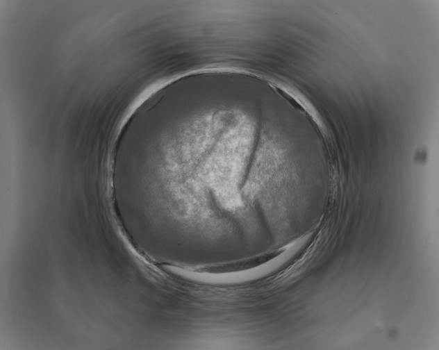 X0000095111101200712301730