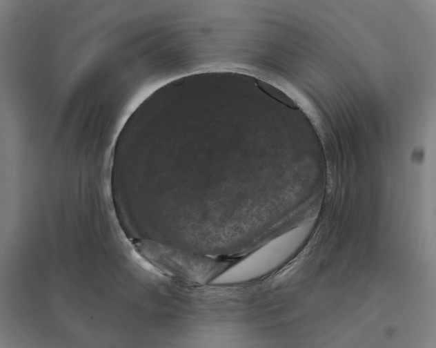 X0000095111102200712301730