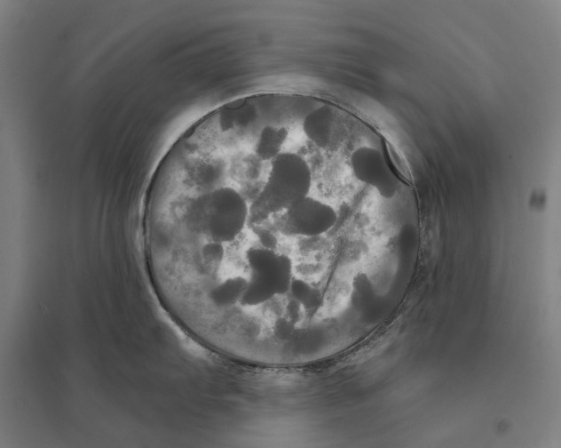 X0000095111103200712301730