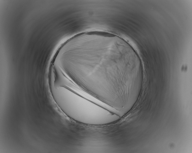 X0000095111104200712301730