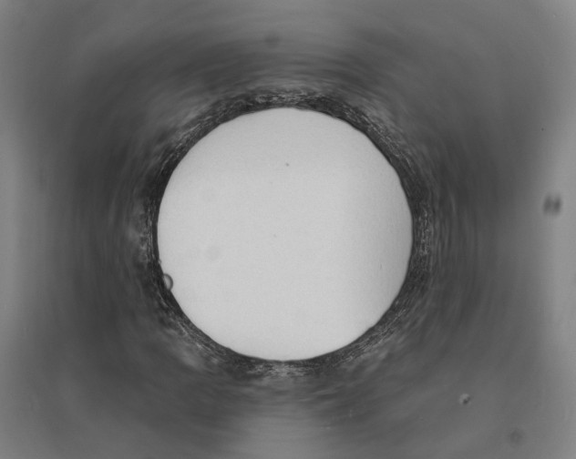 X0000095111109200712301729