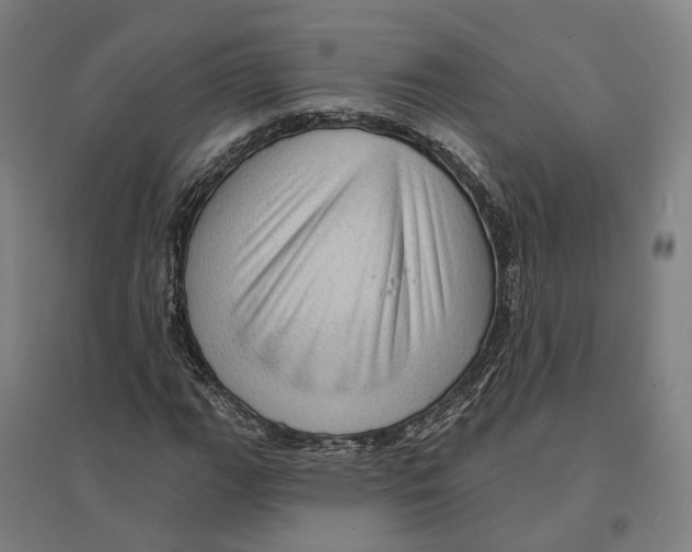 X0000095111111200712301730