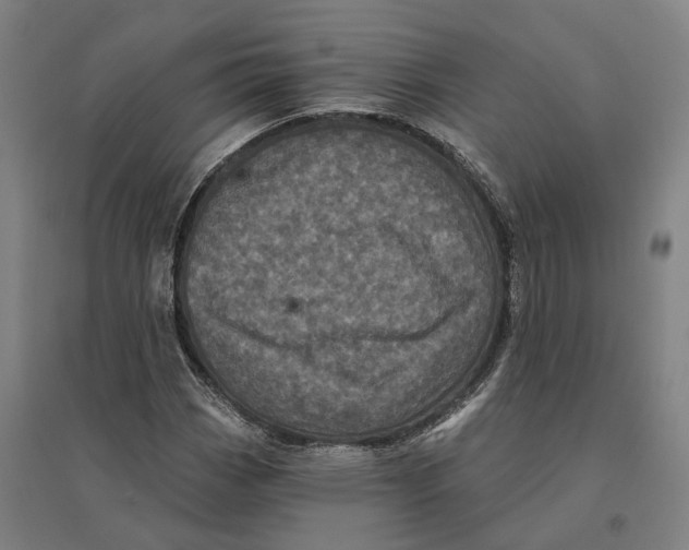 X0000095111113200712301730