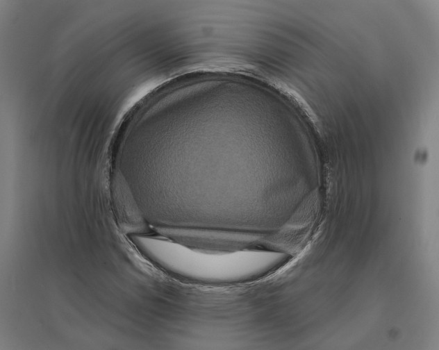 X0000095111114200712301730