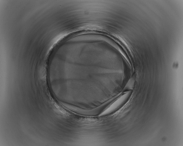 X0000095111115200712301730