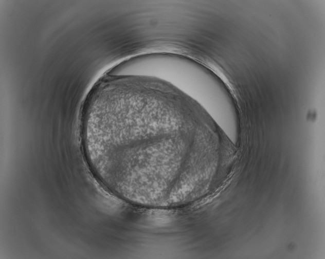 X0000095111116200712301730