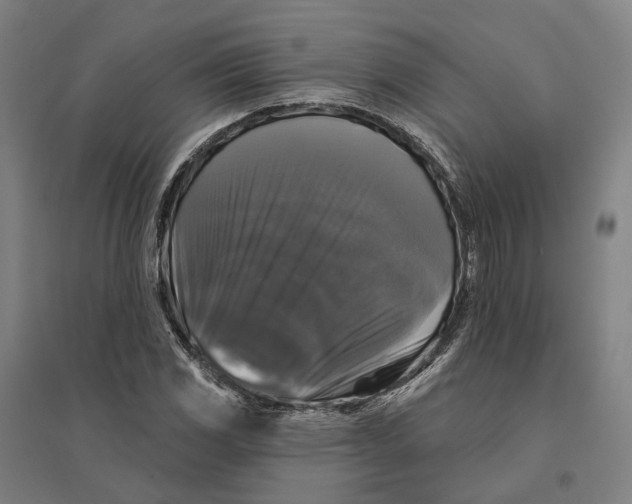 X0000095111117200712301730