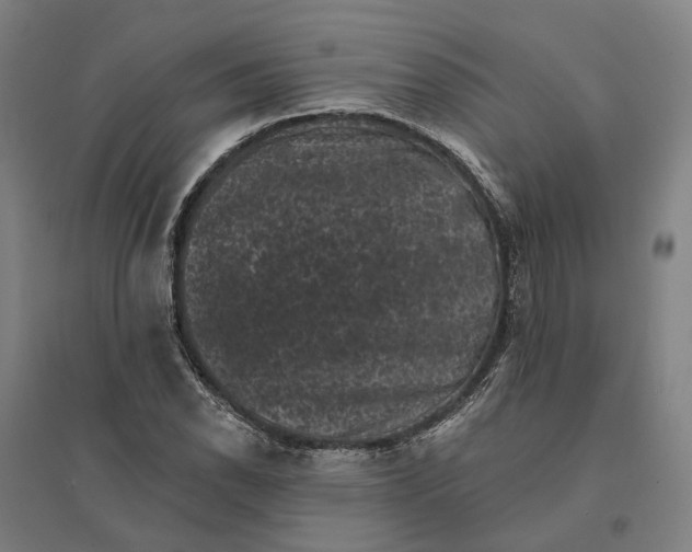 X0000095111118200712301730