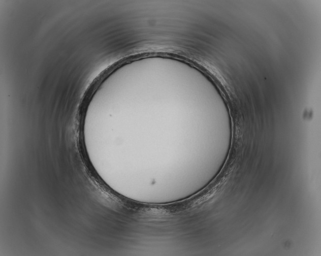 X0000095111119200712301730