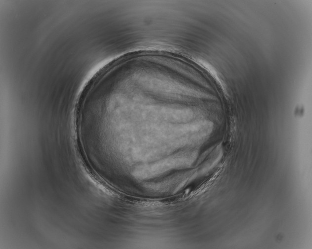 X0000095111120200712301730