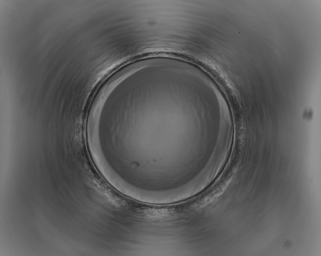 X0000095111121200712301730