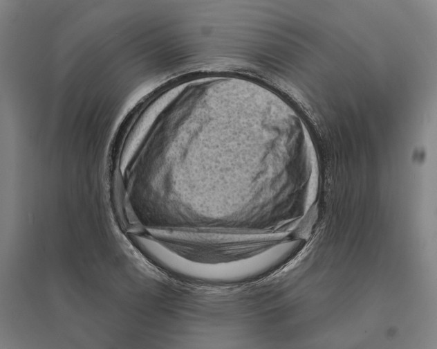 X0000095111122200712301730