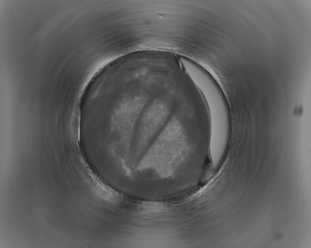 X0000095111123200712301730