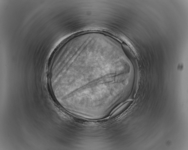 X0000095111124200712301730