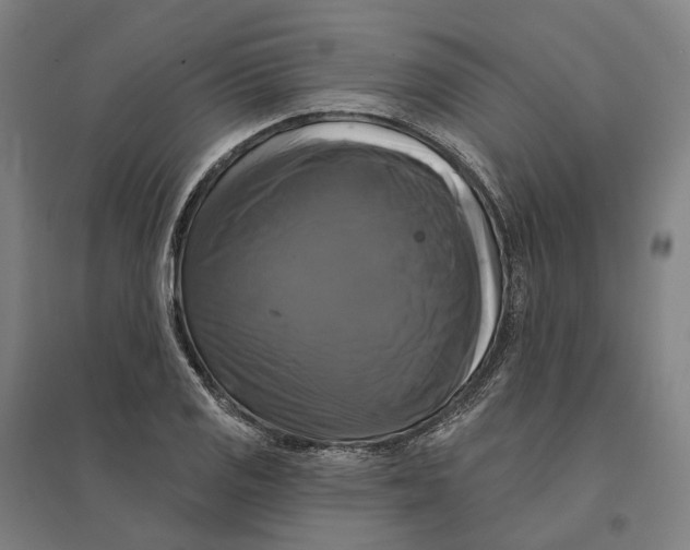 X0000095111125200712301730