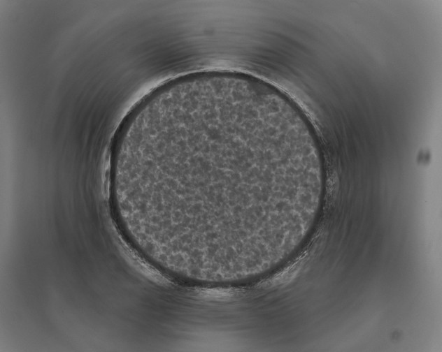 X0000095111126200712301730