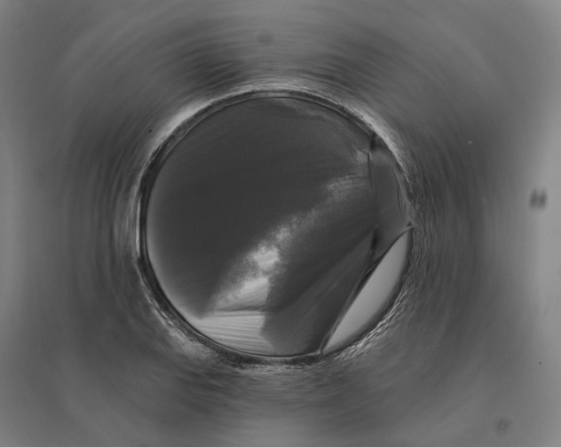 X0000095111127200712301730