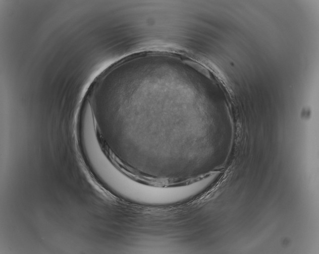 X0000095111128200712301730