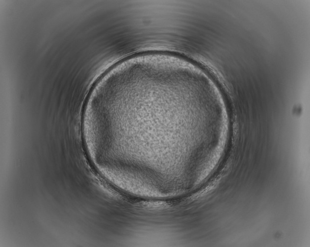 X0000095111129200712301730