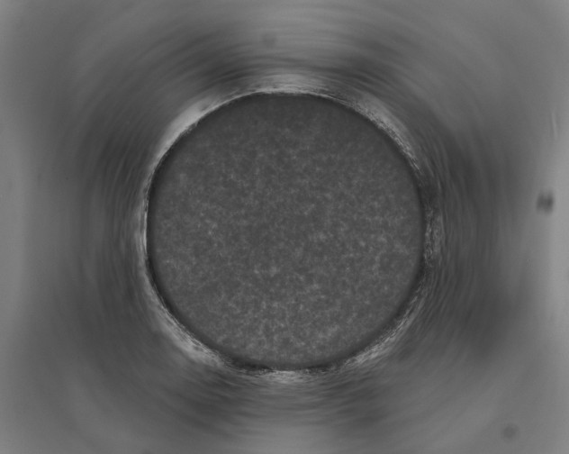 X0000095111130200712301730