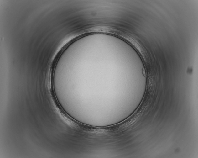 X0000095111131200712301730