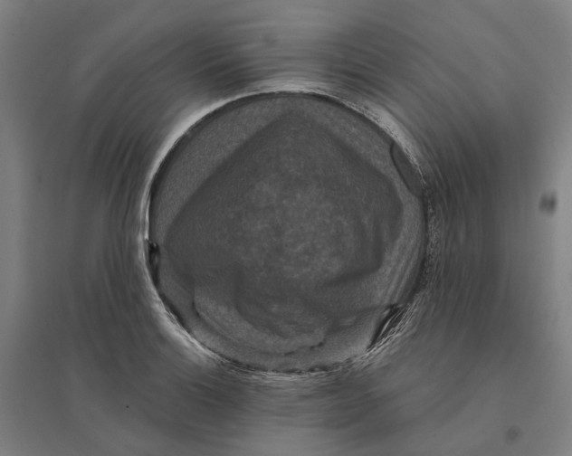 X0000095111132200712301730