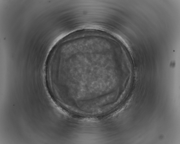 X0000095111133200712301730