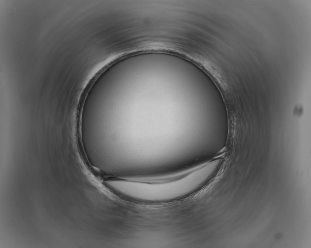 X0000095111134200712301730