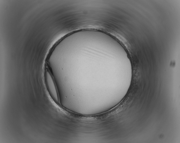 X0000095111135200712301730