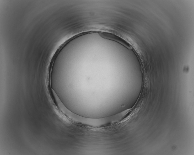 X0000095111136200712301730