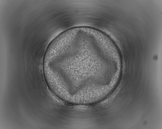 X0000095111137200712301730