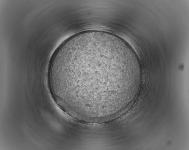 X0000095111139200712301730