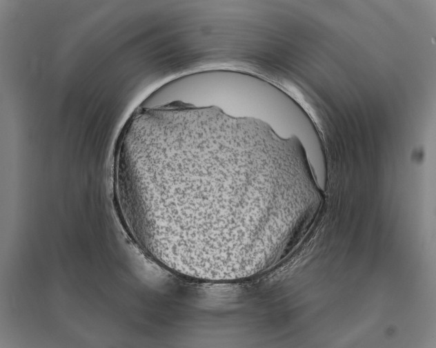 X0000095111140200712301730