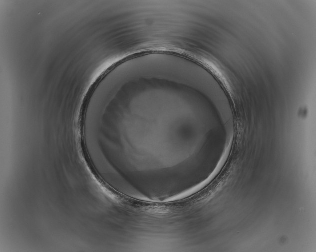 X0000095111141200712301730