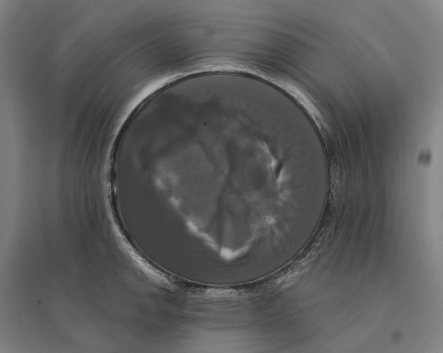 X0000095111142200712301730