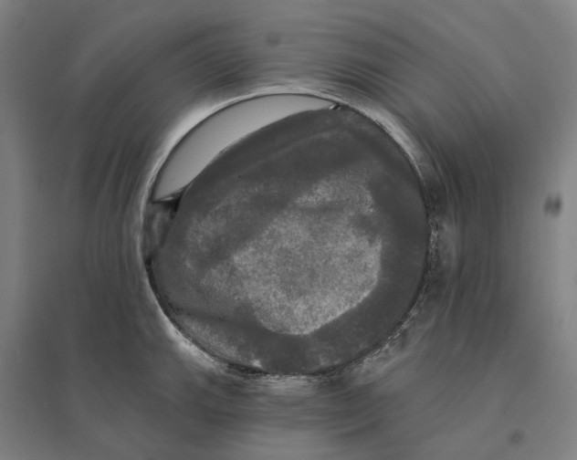 X0000095111143200712301730