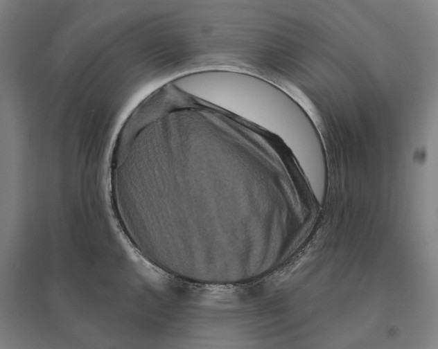 X0000095111144200712301730