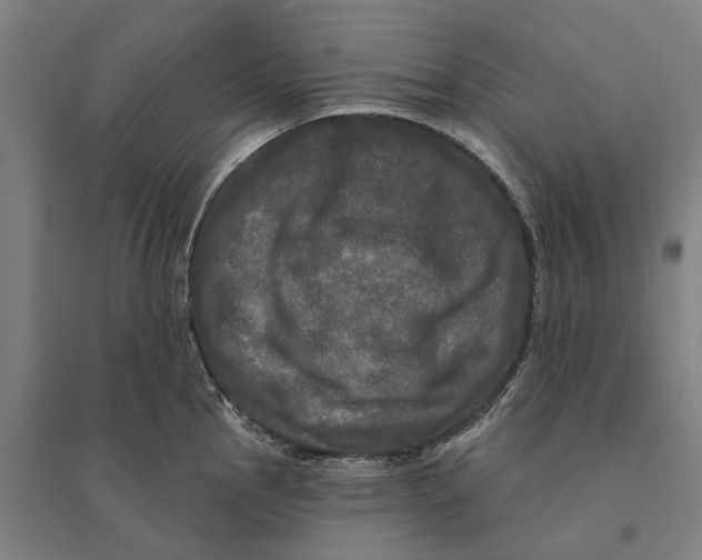 X0000095111145200712301730